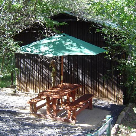 Forest Creek Lodge & Spa Dullstroom Exteriér fotografie